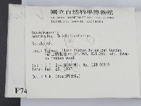 登錄號:F0007495藏品圖，第2張