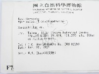 微皮傘屬藏品圖，第2張