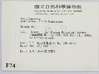 小菇屬藏品圖，第2張