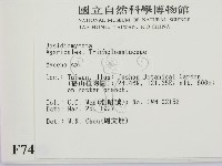 小菇屬藏品圖，第2張