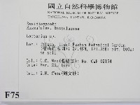 乳菇屬藏品圖，第2張