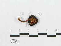 登錄號:F0007502藏品圖，第3張