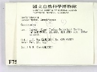 地星屬藏品圖，第2張