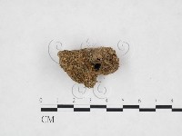 登錄號:F0007504藏品圖，第1張