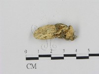 登錄號:F0007505藏品圖，第3張