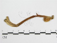 登錄號:F0007506藏品圖，第3張