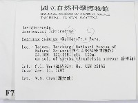 登錄號:F0007507藏品圖，第2張