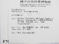 粉褶菌屬藏品圖，第2張