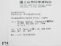 登錄號:F0007509藏品圖，第2張