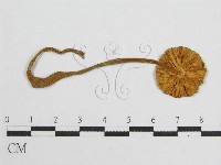 登錄號:F0007509藏品圖，第1張