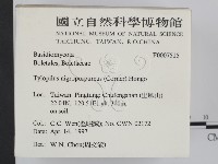 登錄號:F0007515藏品圖，第2張