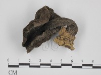 登錄號:F0007515藏品圖，第1張