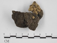 登錄號:F0007515藏品圖，第3張