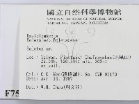 登錄號:F0007516藏品圖，第2張