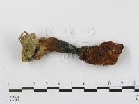 登錄號:F0007516藏品圖，第1張