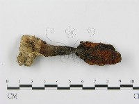 登錄號:F0007516藏品圖，第3張