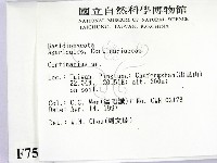 登錄號:F0007519藏品圖，第2張