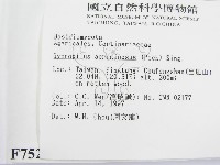 登錄號:F0007520藏品圖，第2張