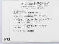 登錄號:F0007522藏品圖，第2張