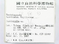 登錄號:F0007523藏品圖，第2張