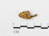 登錄號:F0007524藏品圖，第1張