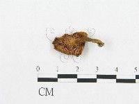 登錄號:F0007524藏品圖，第3張