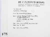 登錄號:F0007525藏品圖，第2張