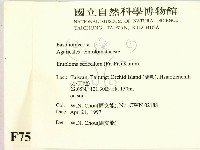 登錄號:F0007526藏品圖，第2張