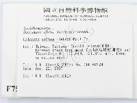 登錄號:F0007528藏品圖，第2張