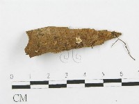 登錄號:F0007528藏品圖，第1張