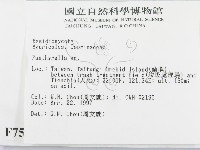 登錄號:F0007530藏品圖，第2張