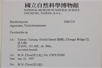 登錄號:F0007535藏品圖，第4張