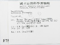 登錄號:F0007537藏品圖，第2張