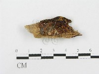 登錄號:F0007537藏品圖，第1張