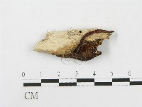 登錄號:F0007537藏品圖，第3張