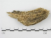 登錄號:F0007538藏品圖，第3張