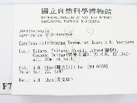 登錄號:F0007539藏品圖，第2張