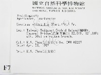 登錄號:F0007540藏品圖，第2張