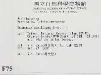 登錄號:F0007542藏品圖，第2張