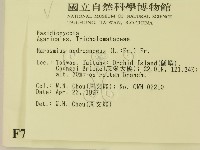 登錄號:F0007543藏品圖，第2張