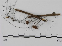 登錄號:F0007543藏品圖，第1張