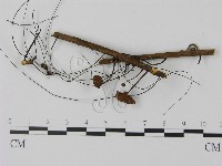 登錄號:F0007543藏品圖，第3張