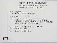 小菇屬藏品圖，第2張