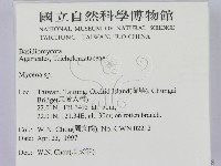 小菇屬藏品圖，第2張