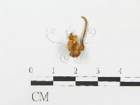 登錄號:F0007546藏品圖，第1張