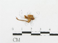 登錄號:F0007546藏品圖，第3張