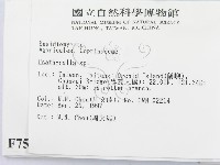 登錄號:F0007547藏品圖，第2張