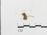登錄號:F0007547藏品圖，第3張
