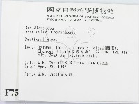 登錄號:F0007548藏品圖，第2張