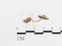 登錄號:F0007548藏品圖，第3張